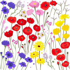 Bright summer vector illustration with wildflowers poppies, cornflowers, yellow daisies on a light transparent background