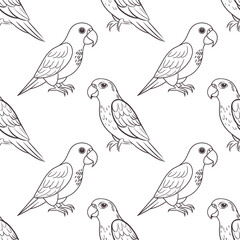 Seamless pattern, linear drawings of tropical parrots on a white background. Cute macaw birds. Design for textile, background, print