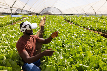 Using VR headset, African American farmer managing hydroponic vegetable farm in greenhouse, copy spa