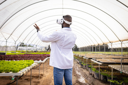 African American farmer using VR headset for managing hydroponic vegetable farm - Powered by Adobe