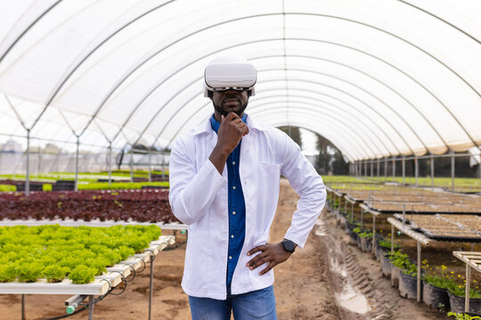 Wearing VR headset, male farmer inspecting hydroponic vegetable garden in greenhouse - Powered by Adobe