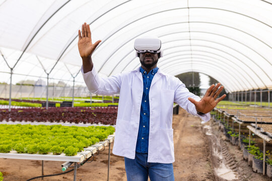 Using VR headset, African American farmer exploring technology in hydroponic greenhouse