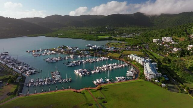 Port of Airlie Beach Bay Lagoon heart of Great Barrier Reef Whitsundays Whitehaven aerial drone green grass field sunny Coral Sea marina jetty Boathaven Beach sailboats cars buildings forward upward