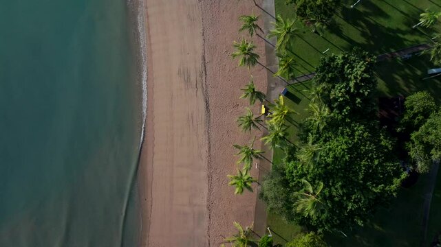 Port of Airlie Beach Bay Lagoon aerial drone Birdseye view tide coastline palm trees heart of Great Barrier Reef Whitsundays Whitehaven sunny Coral Sea marina jetty Boathaven Beach static shot