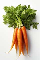 Carrot, isolation white background