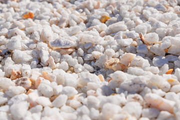 Decorative filler for flower beds of quartz pebbles in white color. Close-up view from an angle....