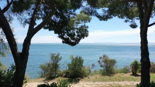 Video from a drone flying smoothly through the branches of pine trees to the open sea on a sunny summer day, the coast of Istres, Provence, France