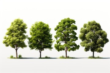 Obraz premium Collection Beautiful 3D Trees ,isolation white background