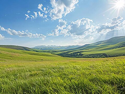 A wide view of a sunlit grassy field with rolling hills in the background, the fresh summer grass swaying gently in the light breeze under a clear, sunny sky with scattered white clouds