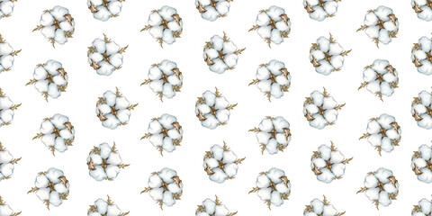 Cotton watercolor hand drawn, Seamless pattern background dry branch, single element clipart. Fluffy cotton for fabric and design, dried flowers..