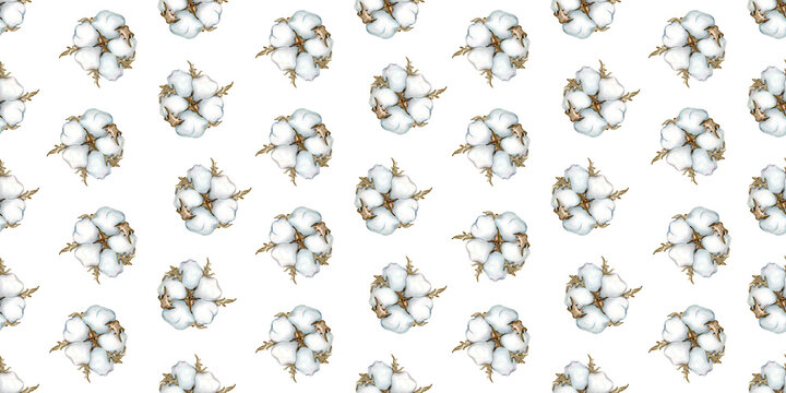 Cotton watercolor hand drawn, Seamless pattern background dry branch, single element clipart. Fluffy cotton for fabric and design, dried flowers..