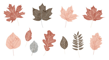 秋の落ち葉の可愛いイラストセット