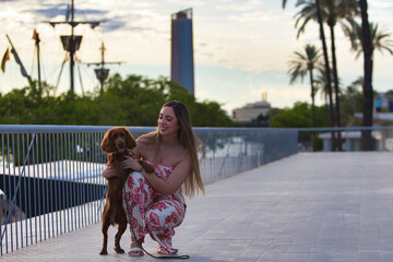 Blonde, young and beautiful Spanish woman goes for a walk with her English cocker spaniel puppy....