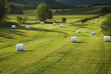 Litauen, Wiese, Heuballen, Landwirtschaft