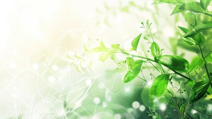 Obraz premium Abstract green nature background with sunlight and foliage