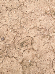 Cracked earth texture for nature background