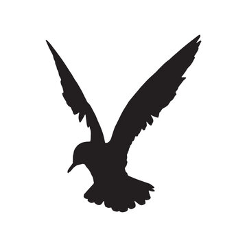 recommend clip art: A bird vector silhouette designs 