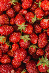 Garden strawberry. Solid background throughout the entire picture.