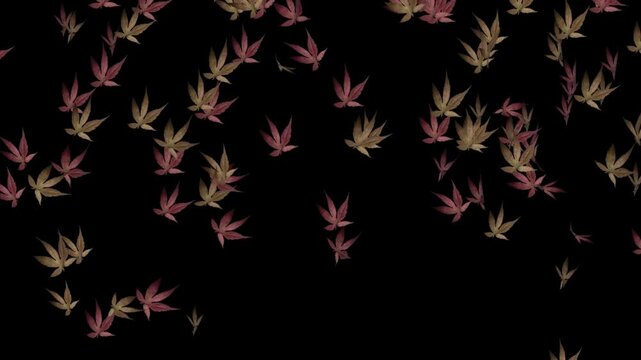 leaves falling leaf particle effect background