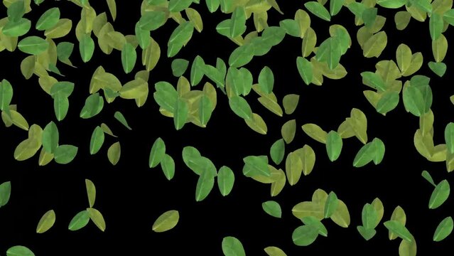 leaves falling leaf particle effect background
