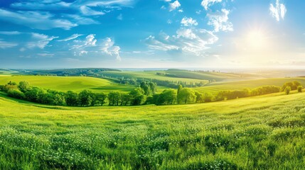 Fototapeta premium Beautiful countryside in Ukraine Europe Summertime nature photo of lush green pastures and clear blue sky Explore Earth's beauty Copy space image. Generative AI