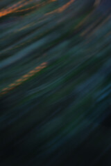 ICM shot of leaves flowing down a river