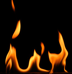 fire on a black background, burning and hot flames, close view