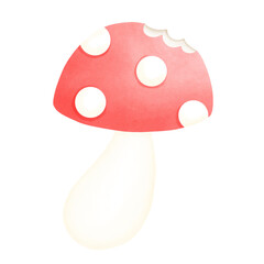 Mushroom