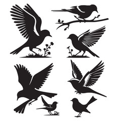Obraz premium birds set silhouette style vector