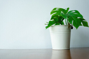 Businesswomen drive online store success together.