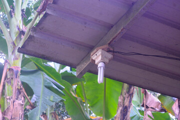 Close up of lights outside the house