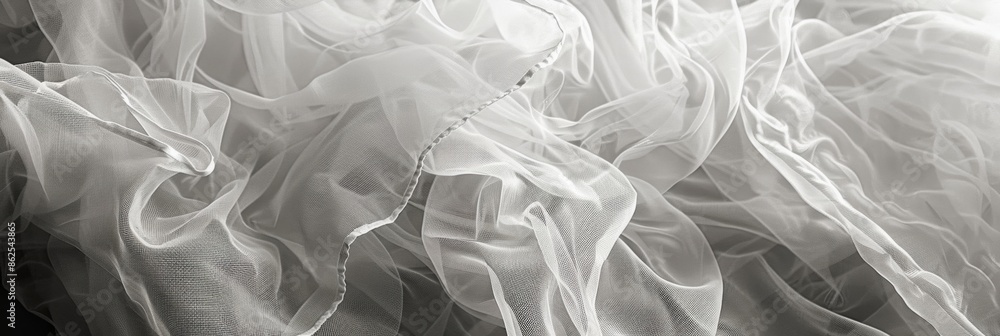 Poster ruffled tulle with a crinkled texture creating a unique pattern. black and white art