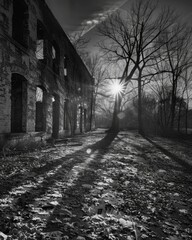 The setting sun casts long haunting shadows across the abandoned buildings. Black and white art