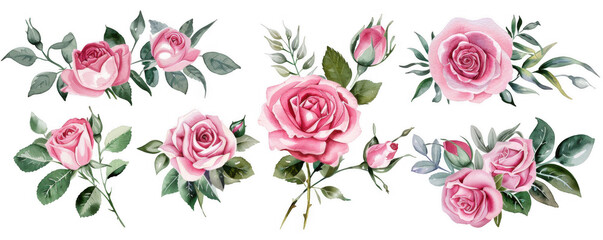 Watercolor Pink Rose Bouquets with Green Foliage
