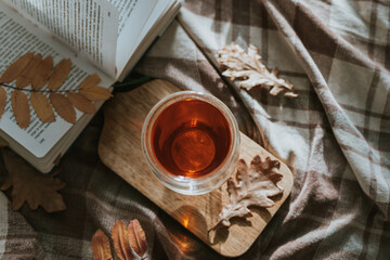 Open book and glass hot tea on wooden board on cozy blanket. Autumn fall, atmospheric mood, cozy autumn concept.