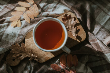 Wooden tray with hot tea and autumn fall leaves on cozy blanket on bed. Cozy home atmosphere