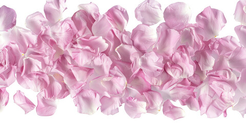 Fototapeta premium Scattering of Pink Flower Petals