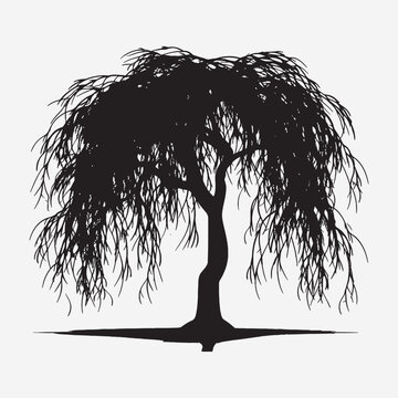 recommend clip art: black silhouette of willow tree isolated white background