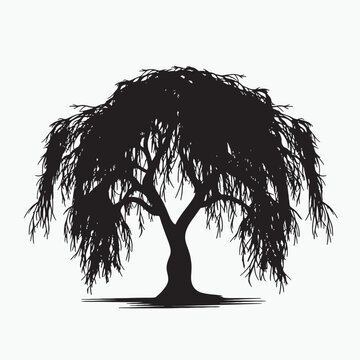recommend clip art: black silhouette of willow tree isolated white background