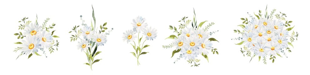 Watercolor Daisy floral illustration, Chamomile spring flowers clipart, Wildflower arrangement and summer wreath, Wedding invitations