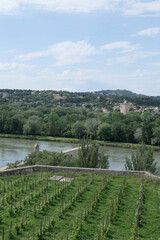 sur le pont d'Avignon
