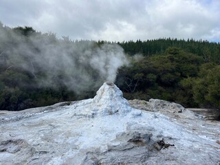 Lady Knox Geyser, Wai-O-Tapu Thermal Wonderland, Rotorua, North Island of New Zealand