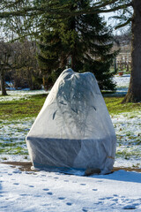 Bonne pratique hivernale : végétaux sous un voile d'hivernage pour une protection optimale