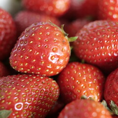 grosses fraises
