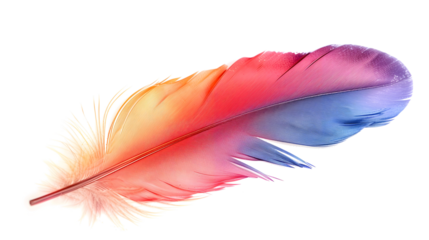 vibrant multicolored feathers isolated on white or transparent png