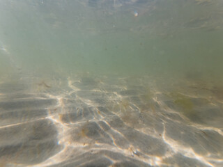 Underwater photo in the Baltic Sea with a sandy bottom on the shallows.