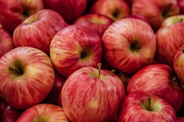 Fuji Apples, background