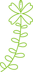 Branches with Leaves and Flowers Illustration
