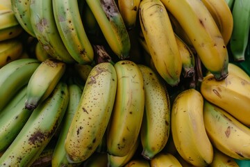 clean and fresh of a Gros Michel Bananas, background