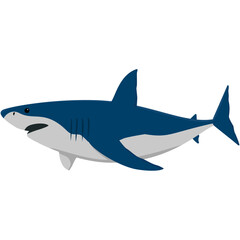 great white shark, ocean animals, isolated on white background, animal vector illustration